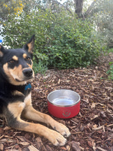 Load image into Gallery viewer, DOG BOWL