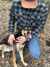 Load image into Gallery viewer, FLANNO