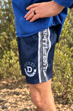 Load image into Gallery viewer, FOOTY SHORTS | NAVY &amp; GREY STRIPE
